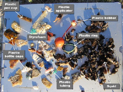 Recovered ocean plastic