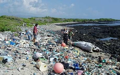 Kamilo Beach, Hawaii, with more beached plastic particles than sand (Algalita Marine)