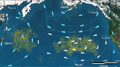 Great Pacific Garbage Patch (eastern and western gyres)