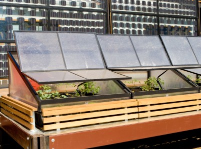 Solar energy and home-grown food:  greenhouse in front of solar panels (istockphoto.com)